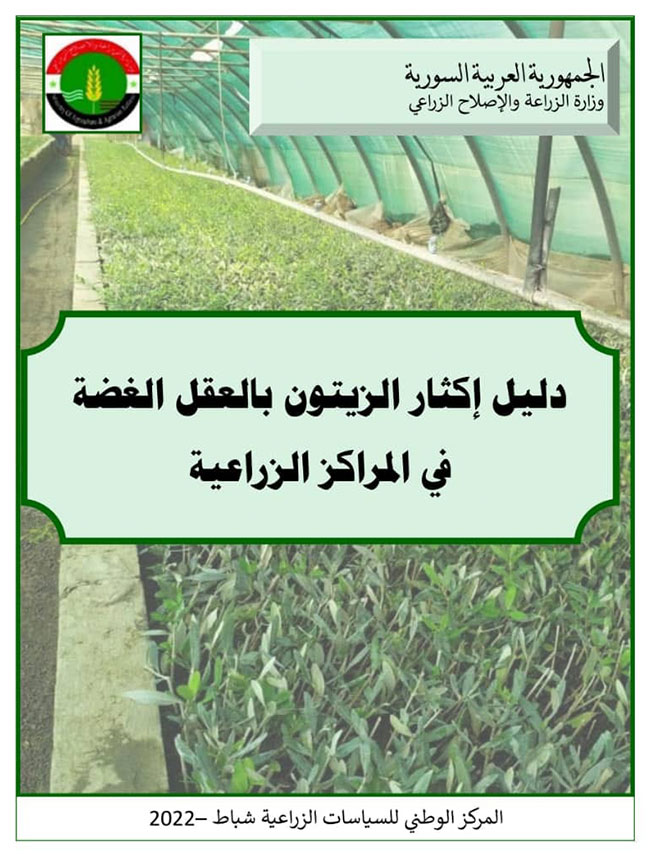 دليل إكثار الزيتون بالعقل الغضة